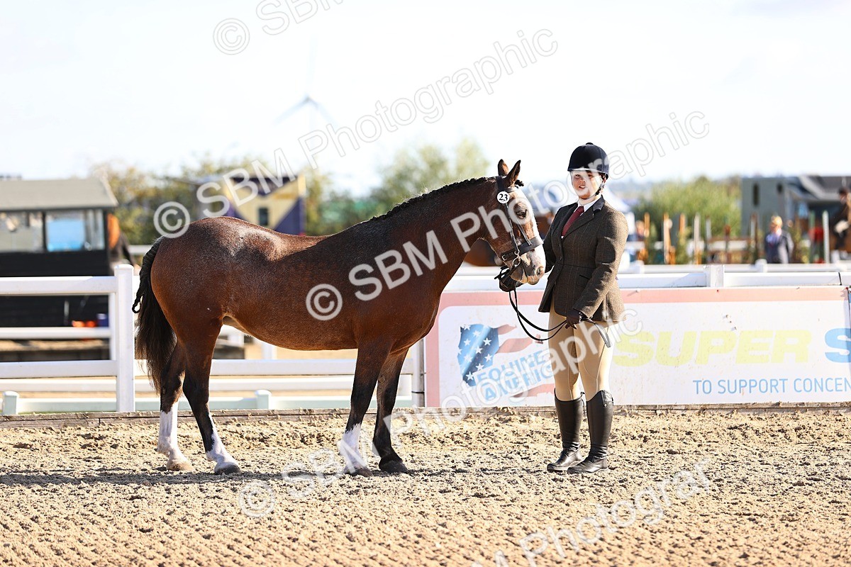 SBM_08477 - Class 402 - IH Veteran Pony