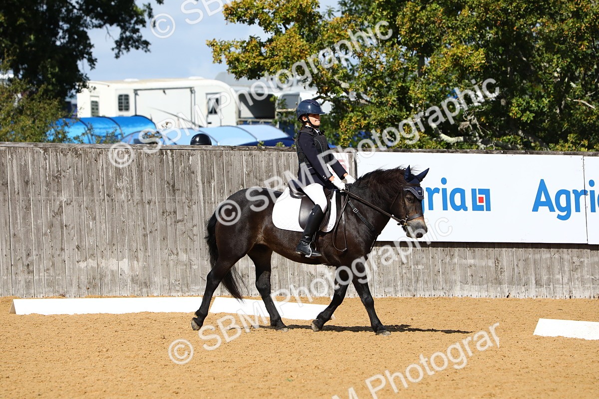 SBM_20789 - D5 - Small Tour Championshop Intro 2