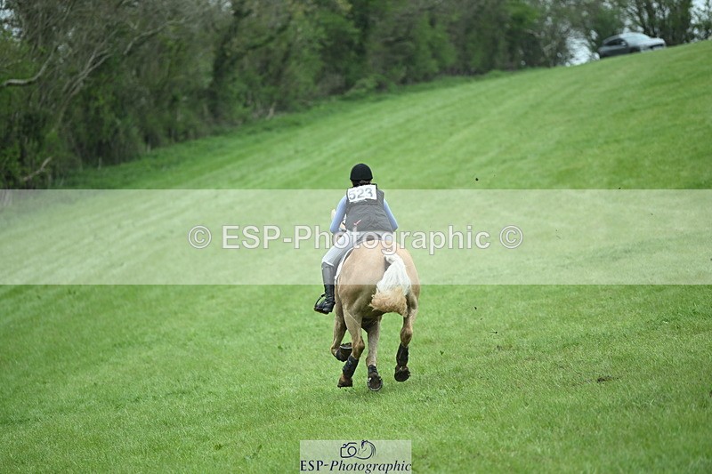 250419-130020-10733 - 523-Kate.Hicks-SWALLOWCROFT.STARDUST