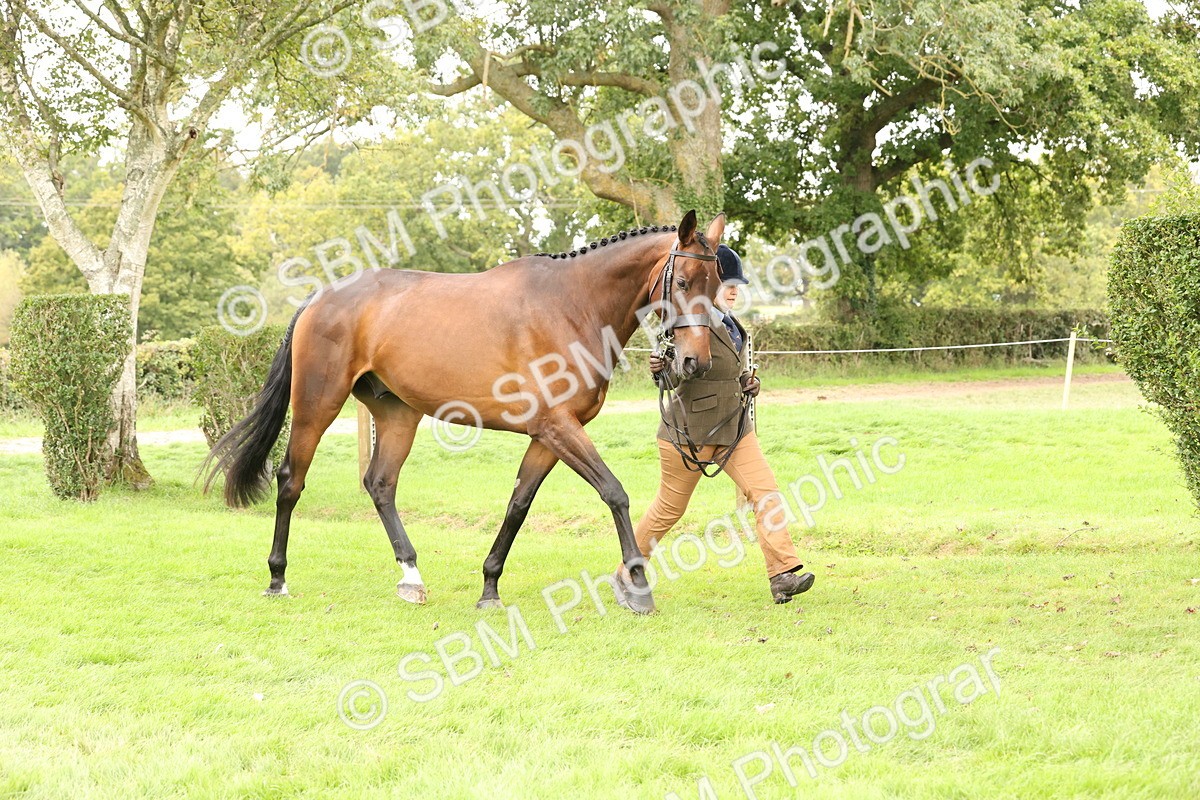 SBM_60831 - In Hand Horse Supreme Championship