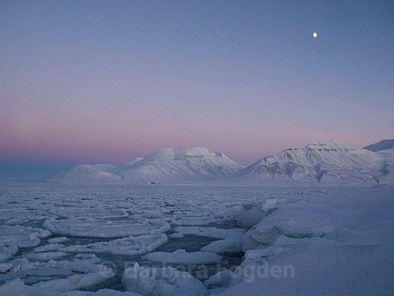 Adventfjorden 2063 - The daylight returns
