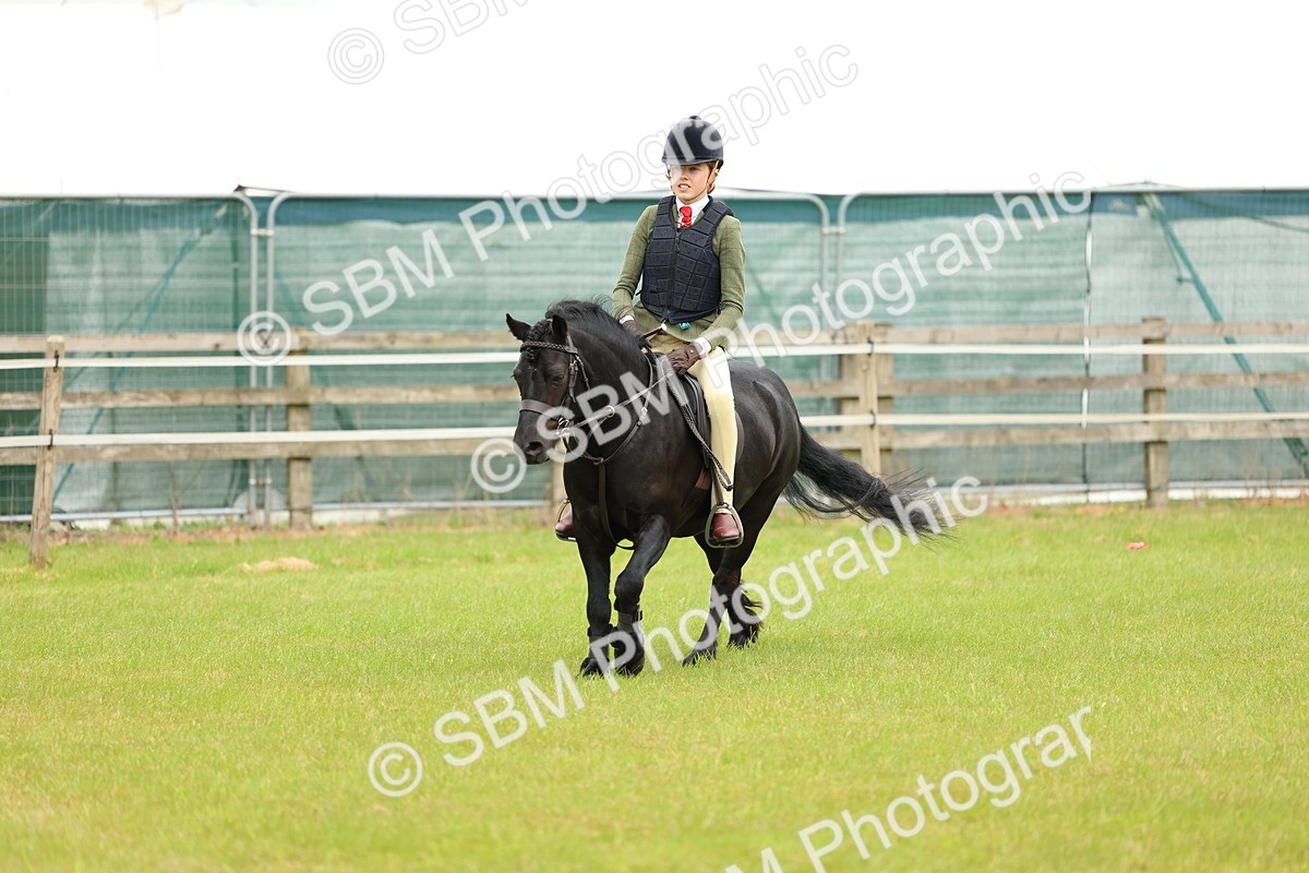 SBM_10322 - Class 44-45 - LIHS BSPS Open Nursery and Cradle Stakes