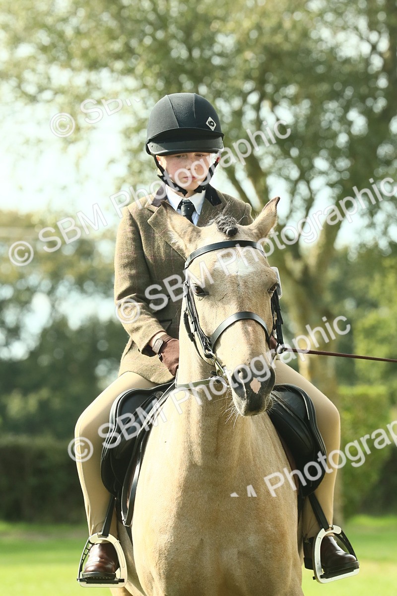 SBM_68946 - S58 - Mini Show Cob Ridden