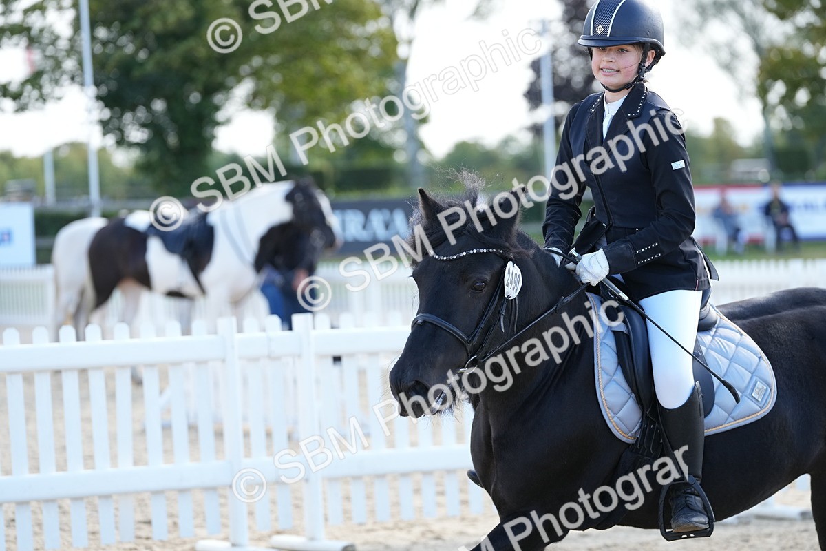 SBM_17920 - J58 - Clear Round 50cm