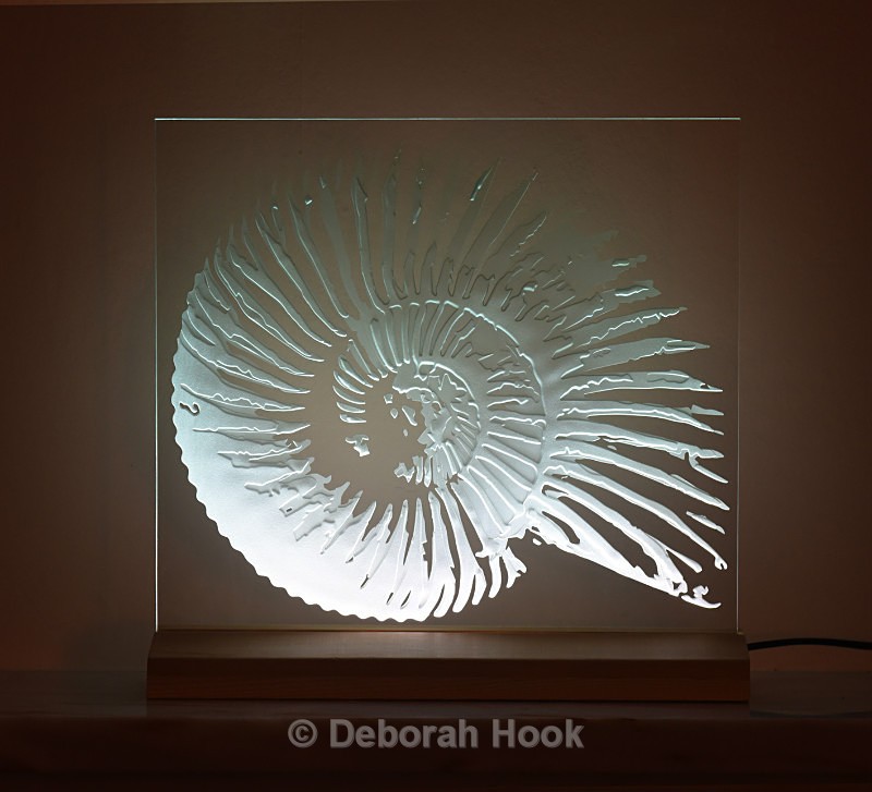 New ammonite 2 - Glass
