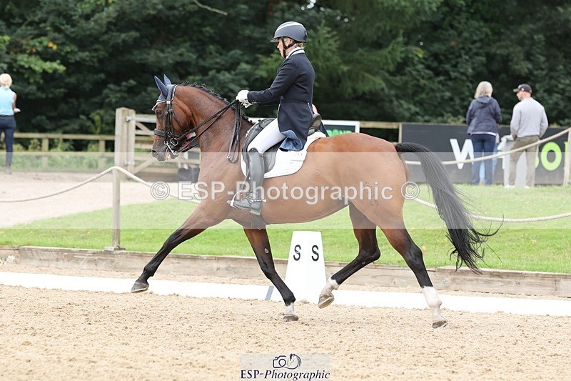 240810-151541-03946 - 231-Louise.Hutchinson-Donnarella