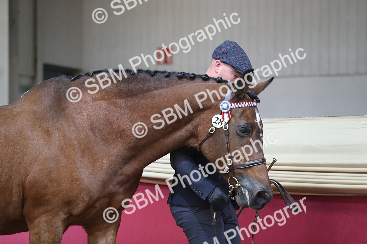 SBM_04299 - Class 7R Regional - IH Diamond