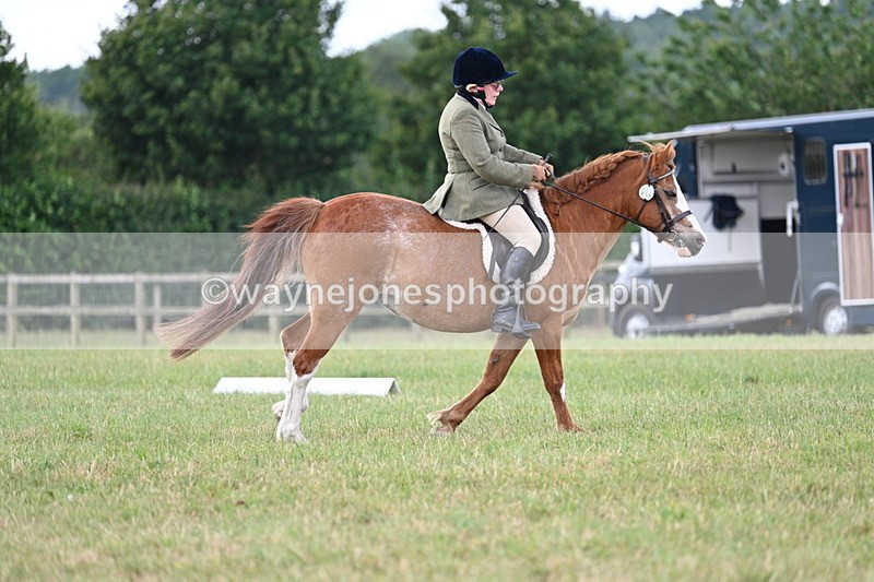 WJ7_3513 - Time 10:28 to 10:42