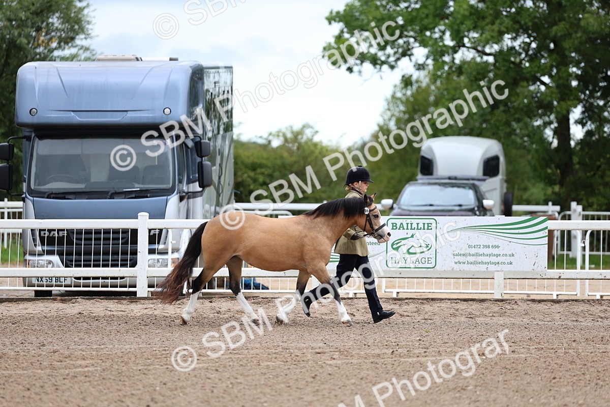 SBM_00225 - Class 13 - Young Handler