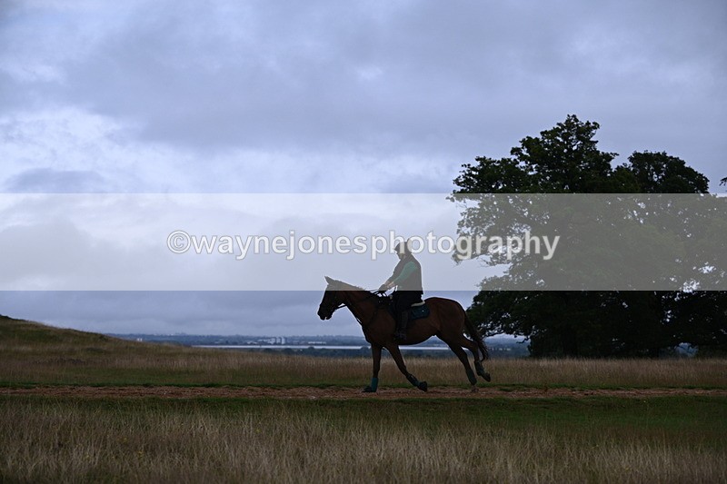 DSC_3744 - Time at Statue 13:51 to 14:55