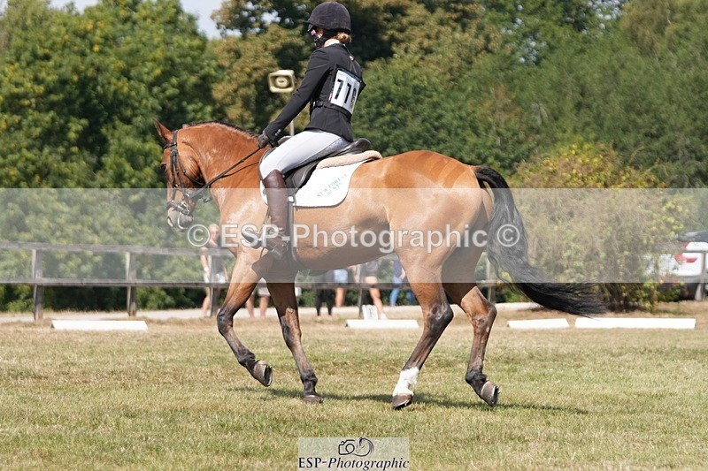 250823A-130759-31136 - Arena A