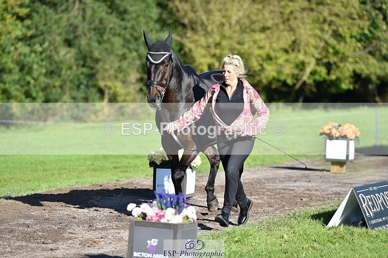 231022-104652-22734 - 464-IMPERIAL.TANGLE-Deborah.Burrell-TrotUp+SJ