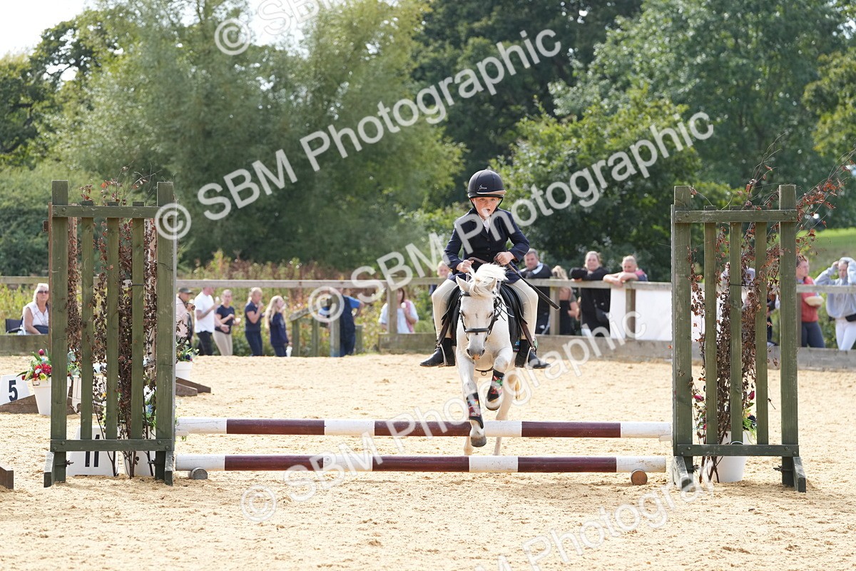 SBM_68515 - J3 - Mini Tour Junior Pony 40cm Championship