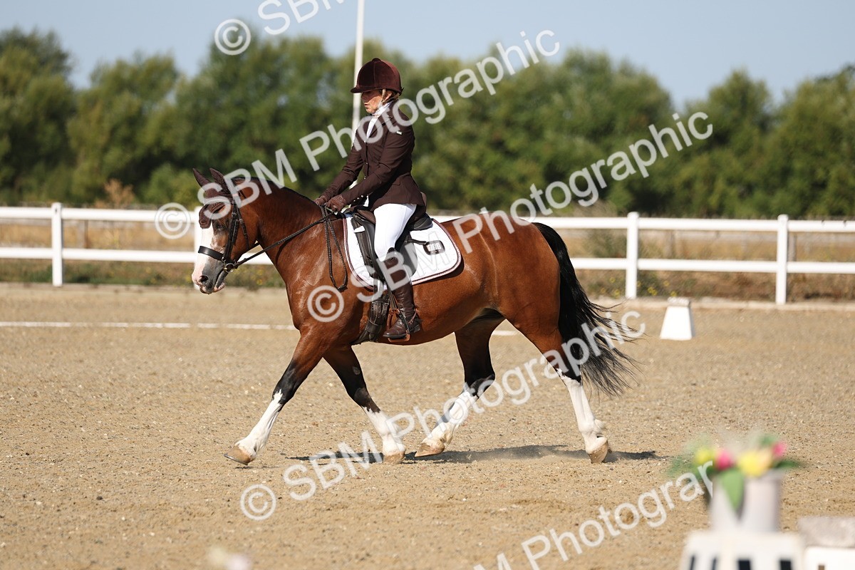 SBM_012790 - Class 1 - P5 Bronze 9.00.10.12