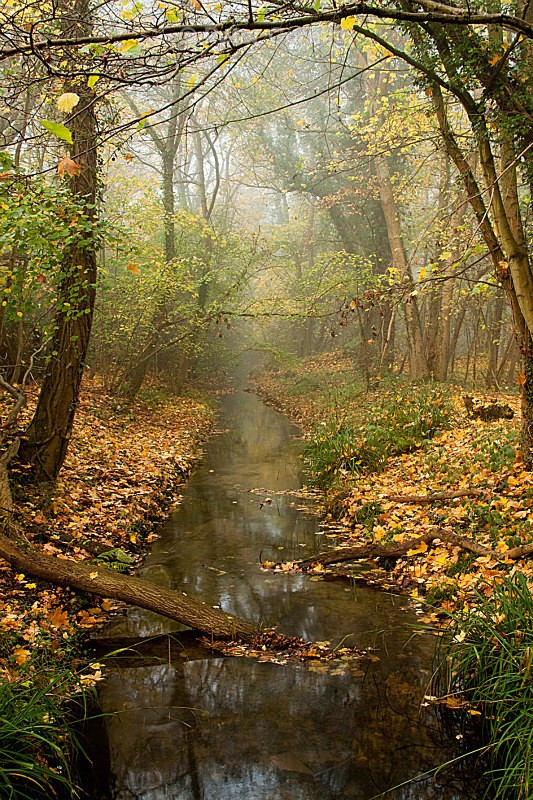 Autumn dawn - Water