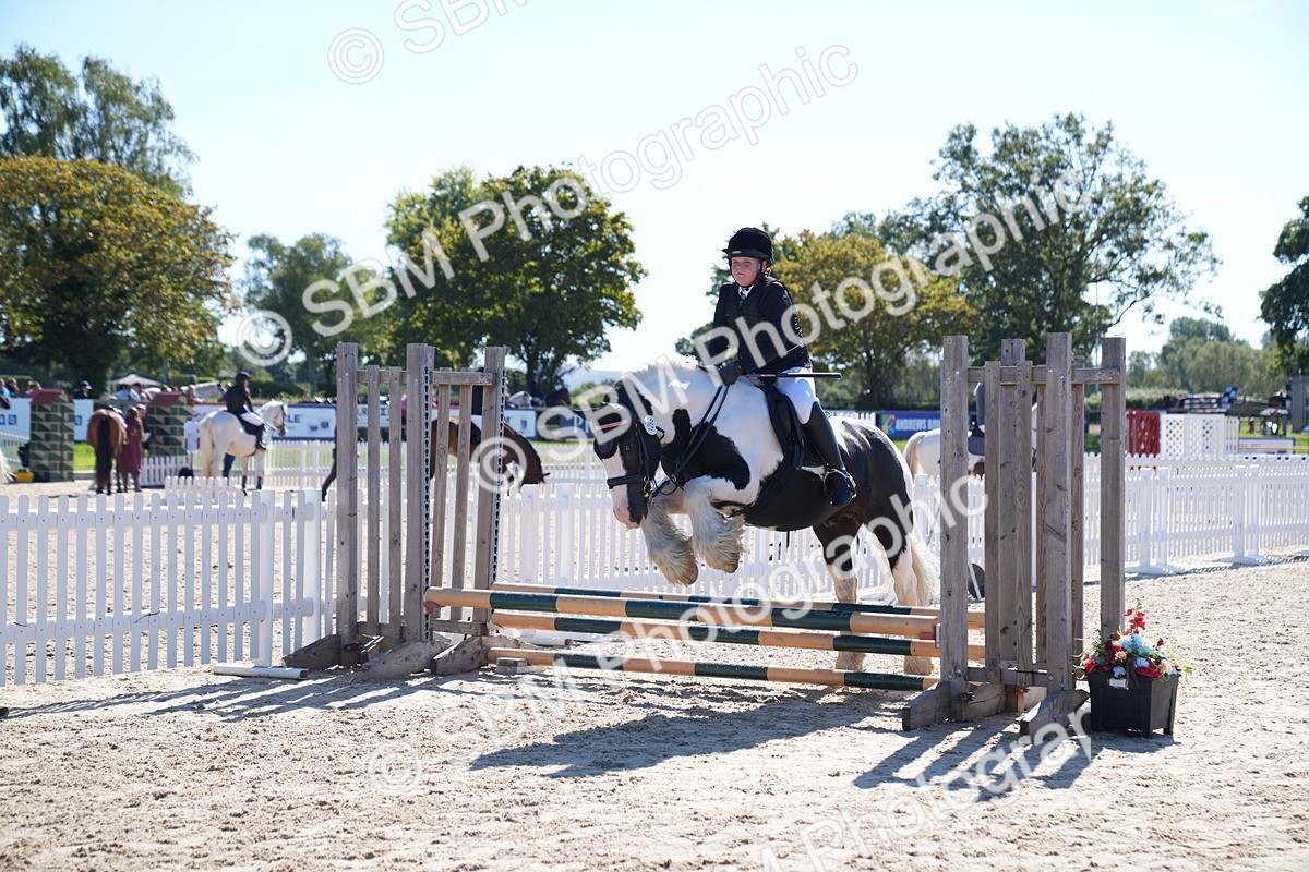 SBM_19484 - J57 - Clear Round 50cm