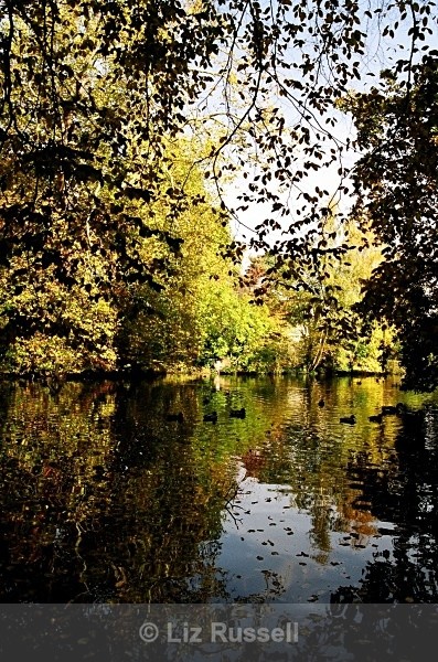 Autumn reflection - Landscapes