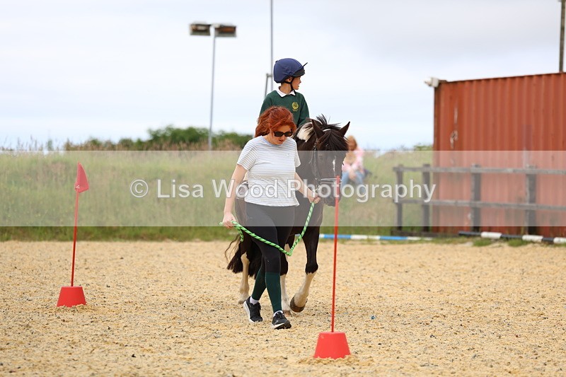 3E7A9498 - Walk trot run