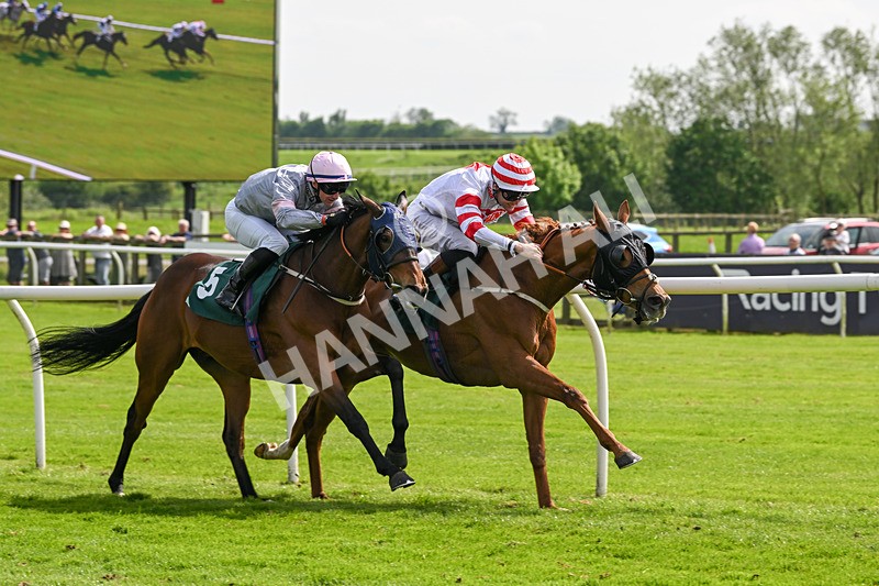 130524-Race 3-Animato-0265 - Race 3