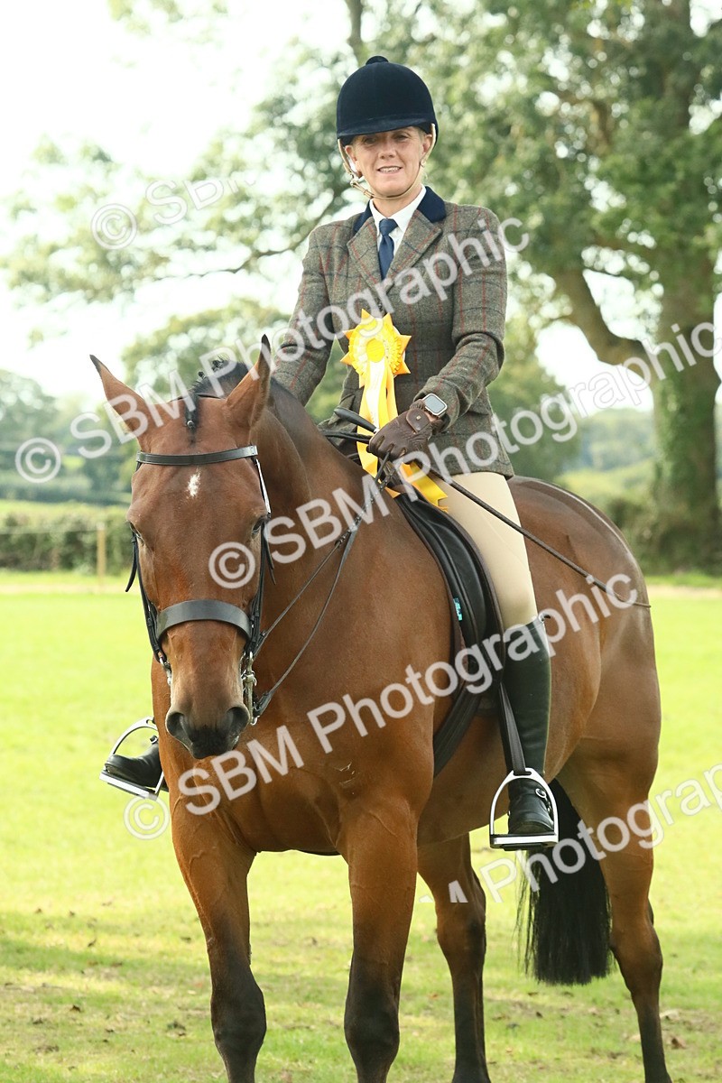 SBM_66784 - S34 - Rehabilitated Rescue Horse & Pony In Hand & Ridden