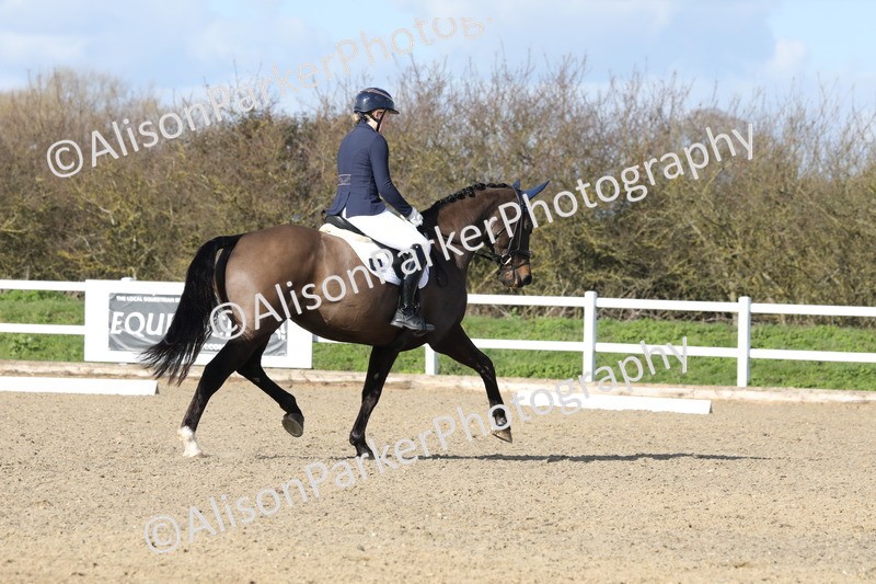 20260314-5041 - CT6 - Elementary 1