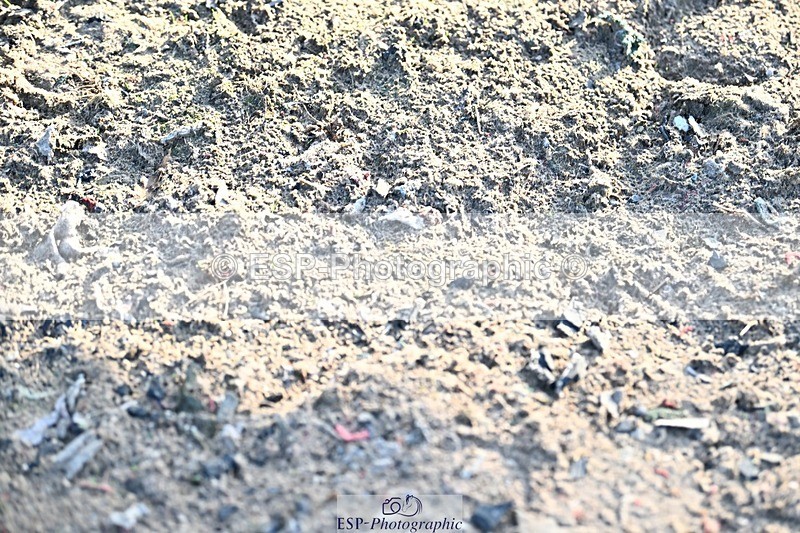 230826-183221-22363 - Juniors