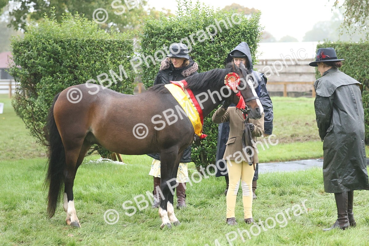 SBM_73235 - Super Supreme Championship(Sun)