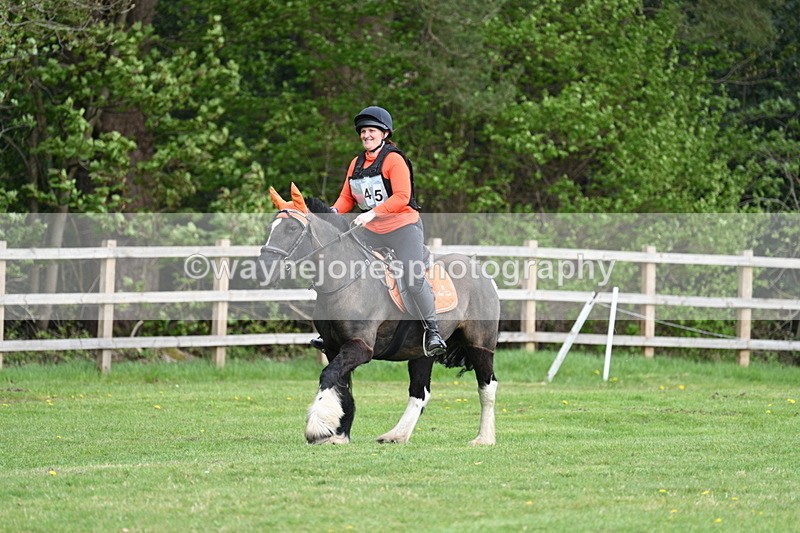 WJ7_5705 - 60cm Time 10:32 to 10:55