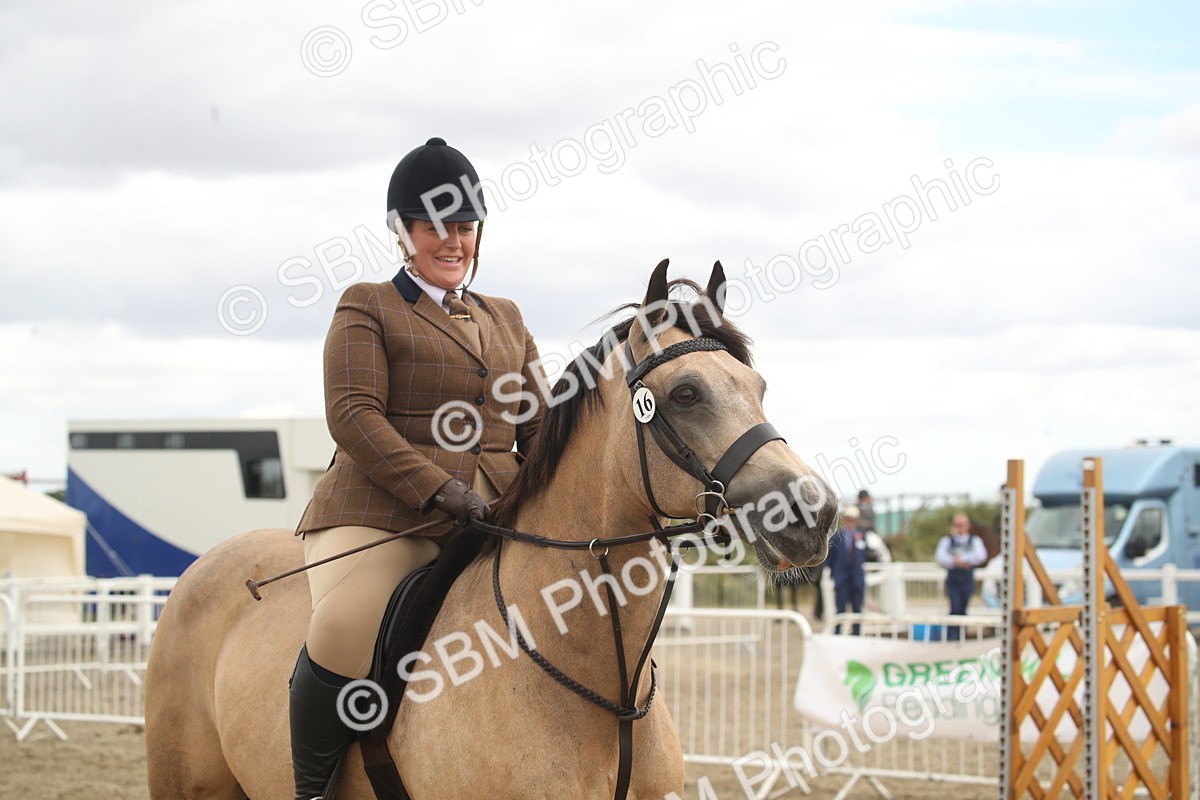 SBM_16683 - Class 507a - Working Veteran - 60cm (15-19)