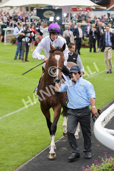 yr19082021r1-7 - Race 1 1.50pm Sky Bet Lowther Stakes
