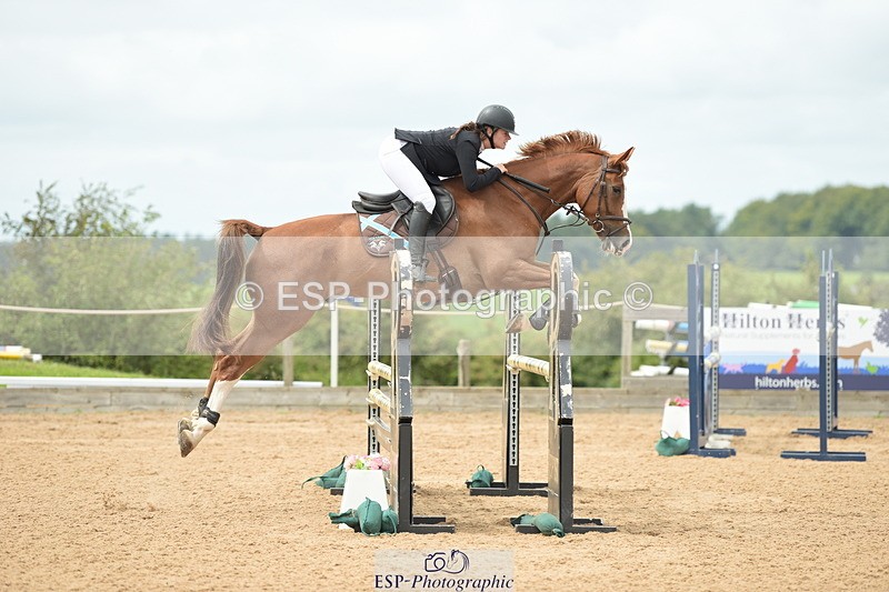 230813A-130316-13156 - Cls 49 Chard Eq 5yr Old Championship