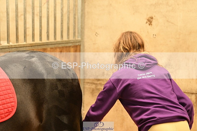 240809A-092835-00083 - Stable Shots