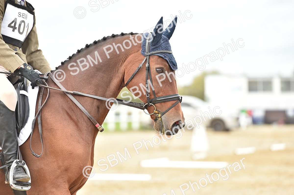 SBM_002500 - Novice 1