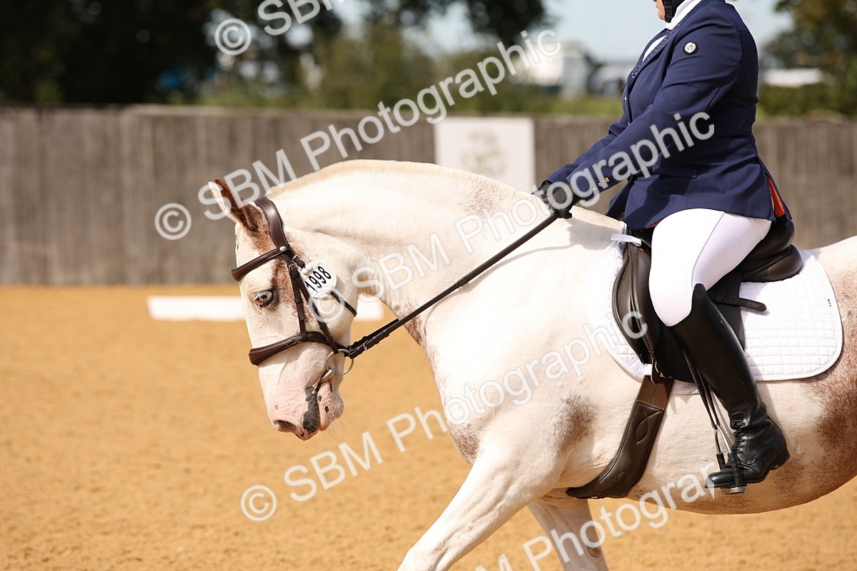 SBM_21747 - D5 - Small Tour Championship - Intro C