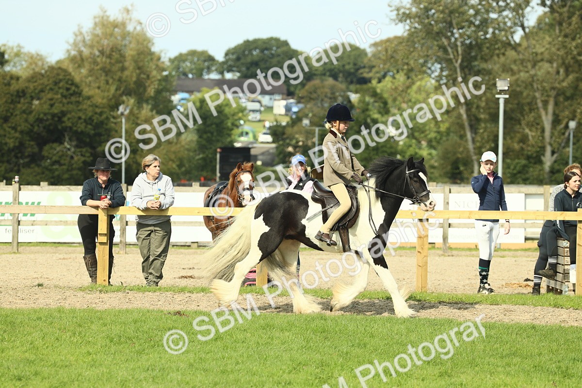 SBM_68893 - S58 - Mini Show Cob Ridden