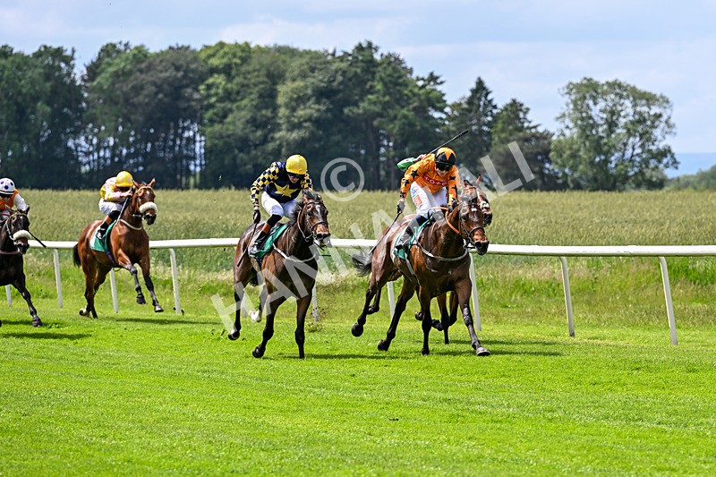 050626-Race 2-Tip Foster-2835 - Race 2 14.15pm Hartshead Dos Champions Restricted Maiden Stakes (Div II)