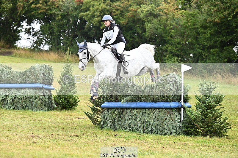 TS_b1573120 - SAT BE 90 Recovered Files fence 8