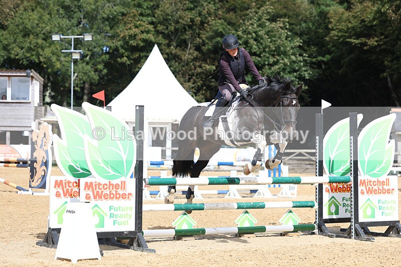 3E7A9245 - Class 9: Senior British Novice/90cm open