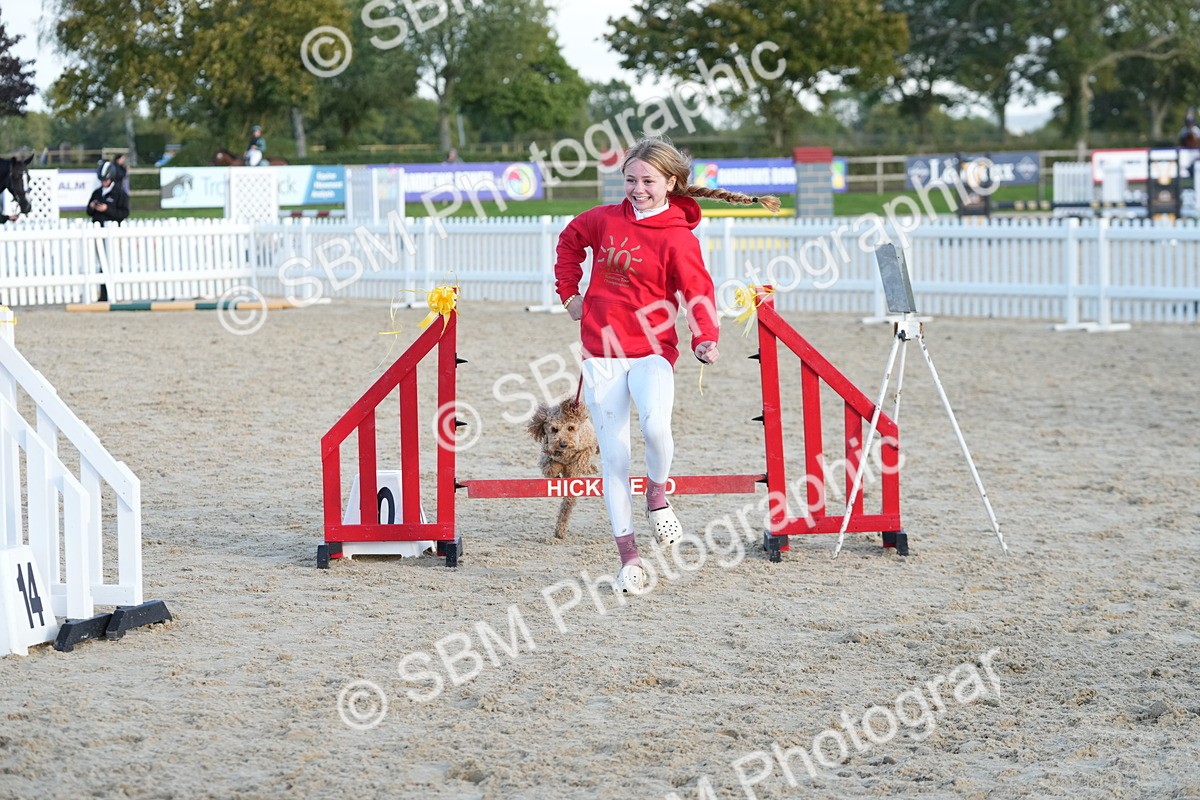 SBM_29476 - J44 - Horse & Hound Open 70cm