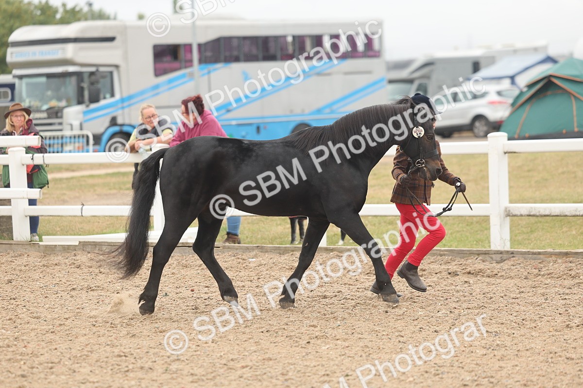 SBM_00496 - Class 13 Young Handler