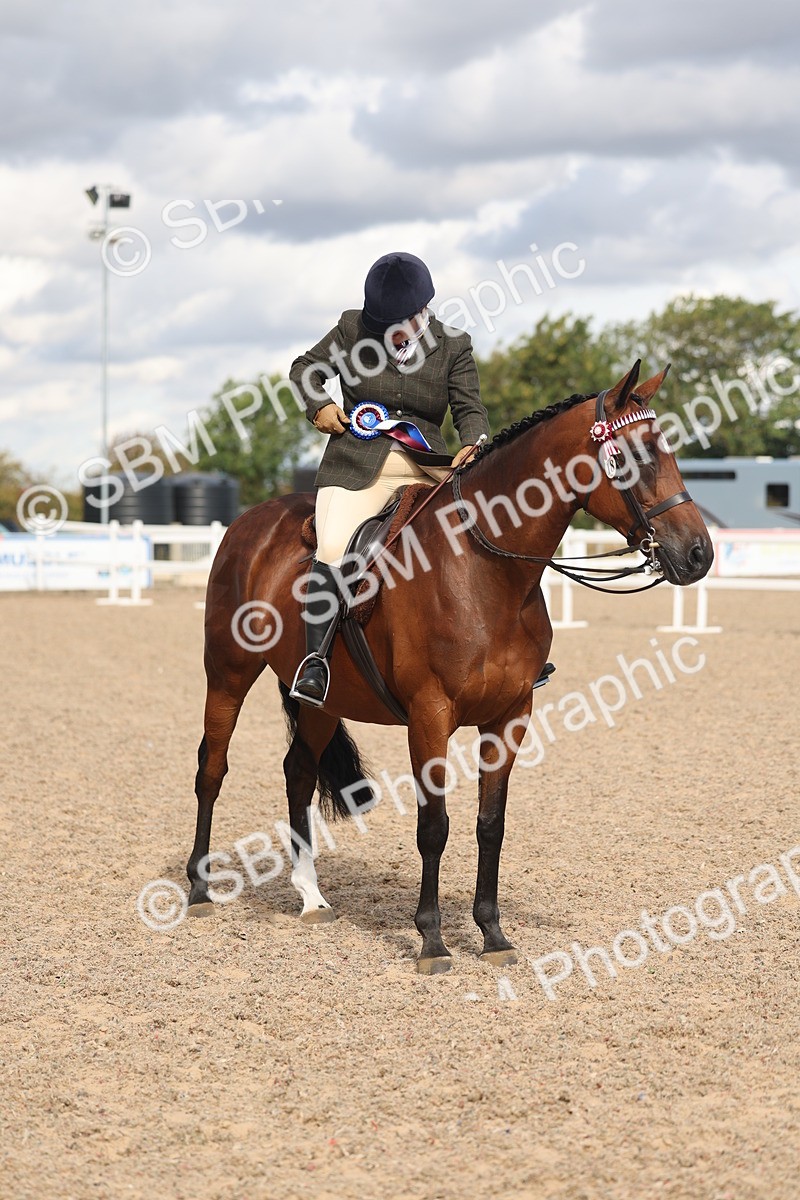 SBM_13207 - Class 306 - Ridden Foreign Breds - Part Bred