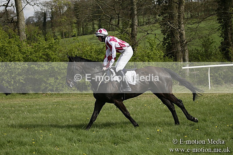 PtP 170417 245 - Old Berks Point-to-Point Lockinge 17/04/17