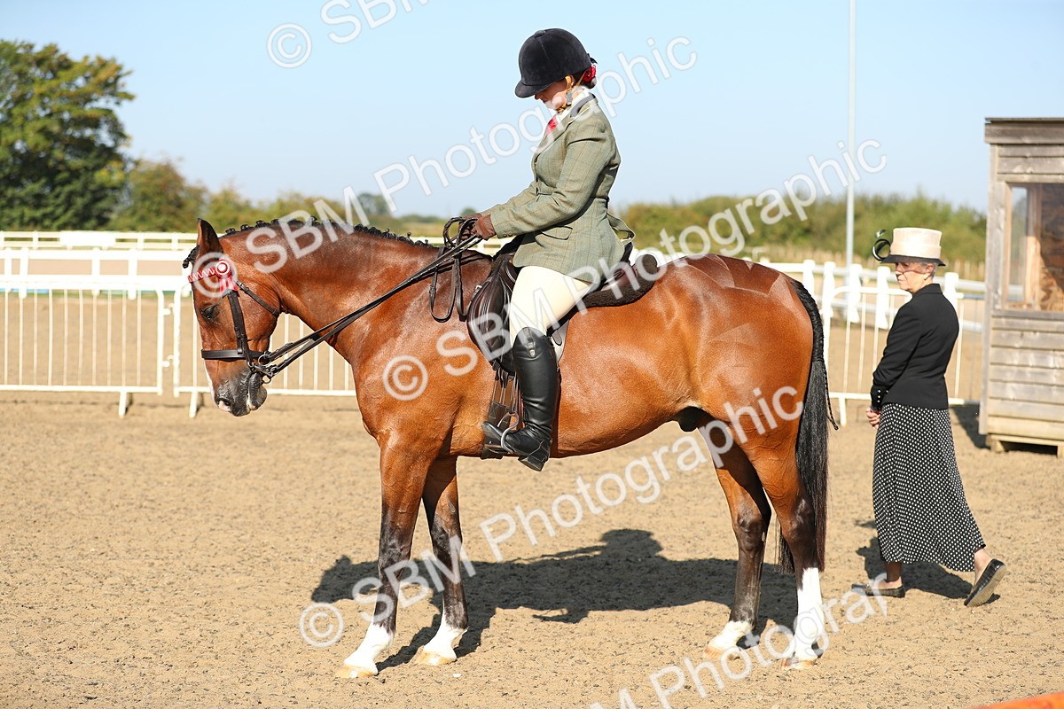 SBM_01211 - Class 42 Ridden Veteran
