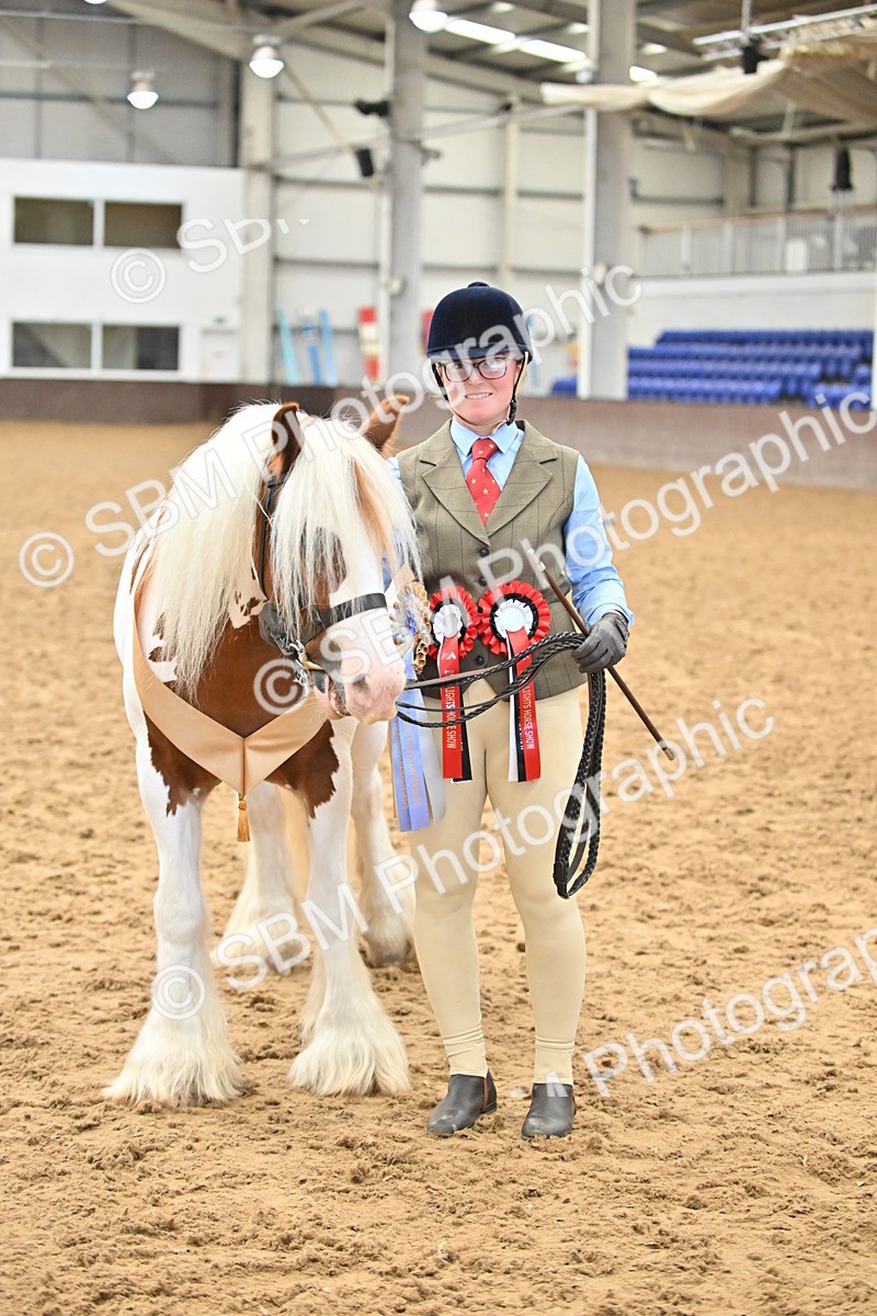 SBM_000801 - Class 16 - In Hand Showing Supreme Championships