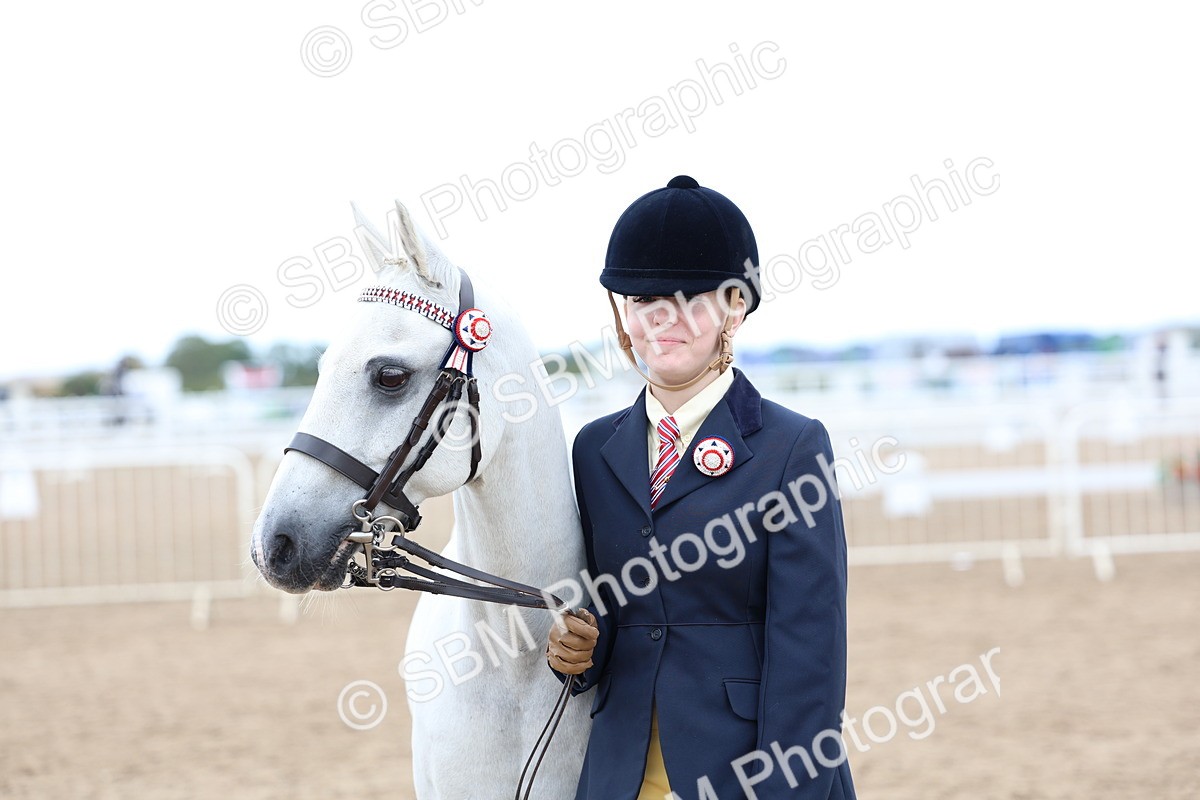 SBM_05058 - Class 27 - IH Competition Horse or Pony