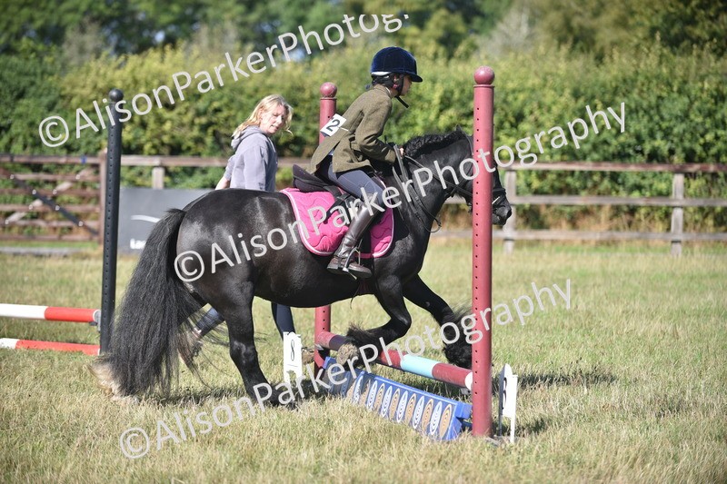 20260906-1007 - Class 7 - Absolute Novice Jumping 35cm
