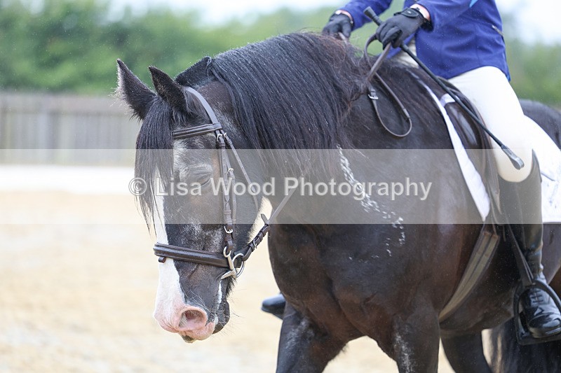 3E7A8421 - Class 2: Intro 3 2024 section B