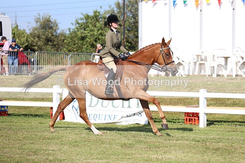 3E7A5546 - Class 2: Rising Star Large Hack/Riding Horse