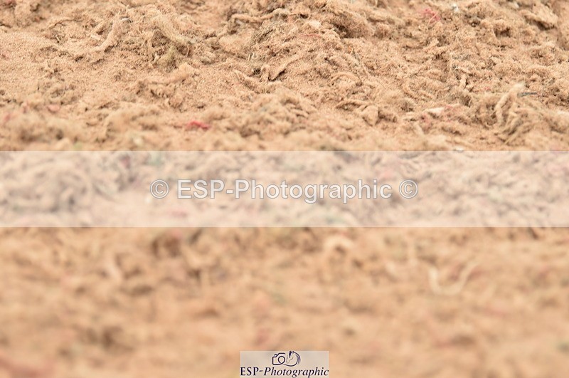 230720A-121012-02475 - Cls 13, 1 Star Bronze 1.10m