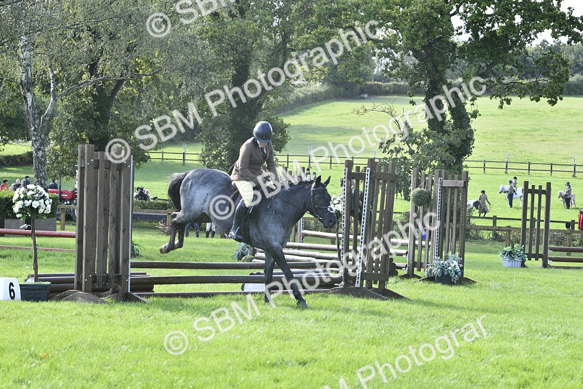 SBM_38155 - S31 - Novice & Newcomer Working Hunter Pony